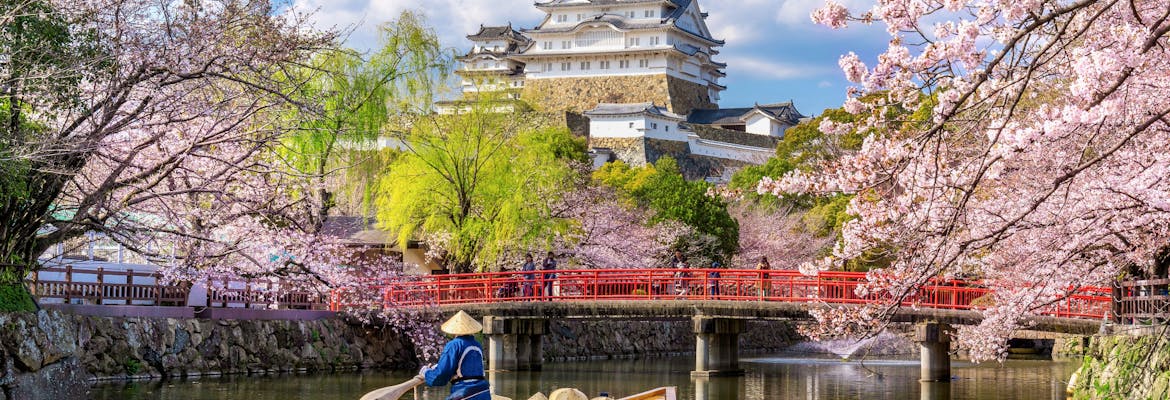 Sommer 2025 - AIDAstella - China, Südkorea & Japan zur Frühlingsblüte