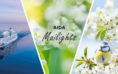 AIDA Special - Mailights