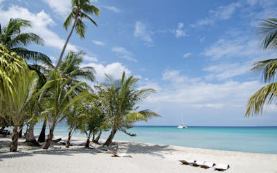 MSC Stay & Cruise - Karibik