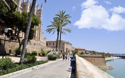 Sommer 2024 Special - MSC Fantasia - Mittelmeer mit Mallorca