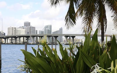 MSC Cruises Ostern 2024 - Karibik ab Miami