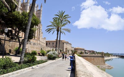 Sommerferien 2024 - MSC Seaview - Mittelmeer mit Mallorca