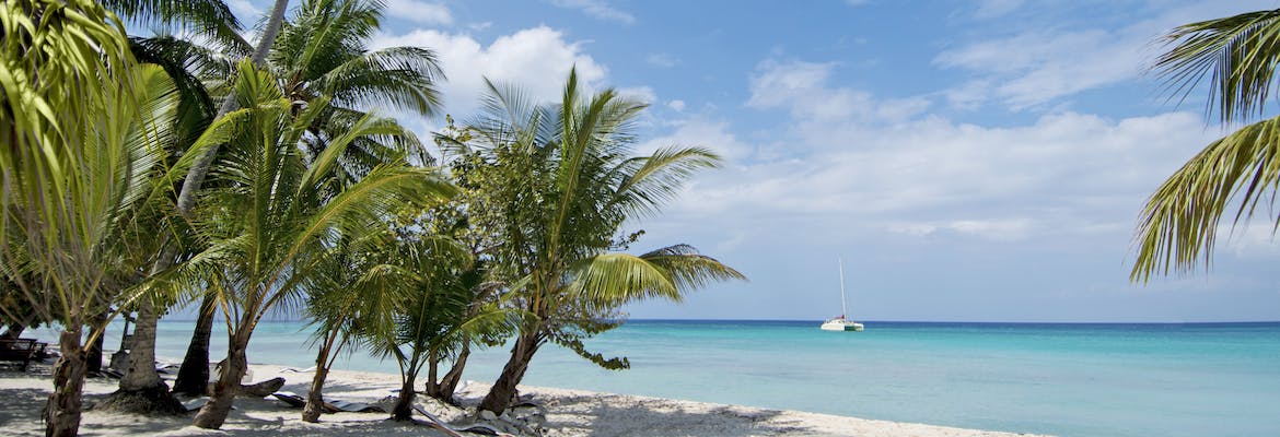MSC Cruises Sommerferien 2024  Karibik
