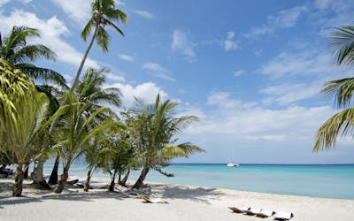MSC Voyagers Club Sommer Special - MSC Seascape - Karibik