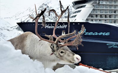 Winter 2025/26 - <i> Mein Schiff 3</i> - Skandinavischer Advent