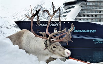 Suiten Special Winter 2025/26 - <i> Mein Schiff 3</i> - Skandinavischer Advent