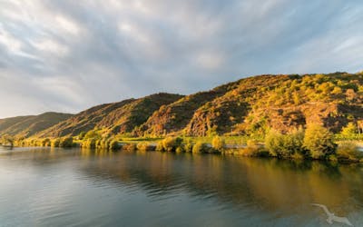 Traumhafte Mosel